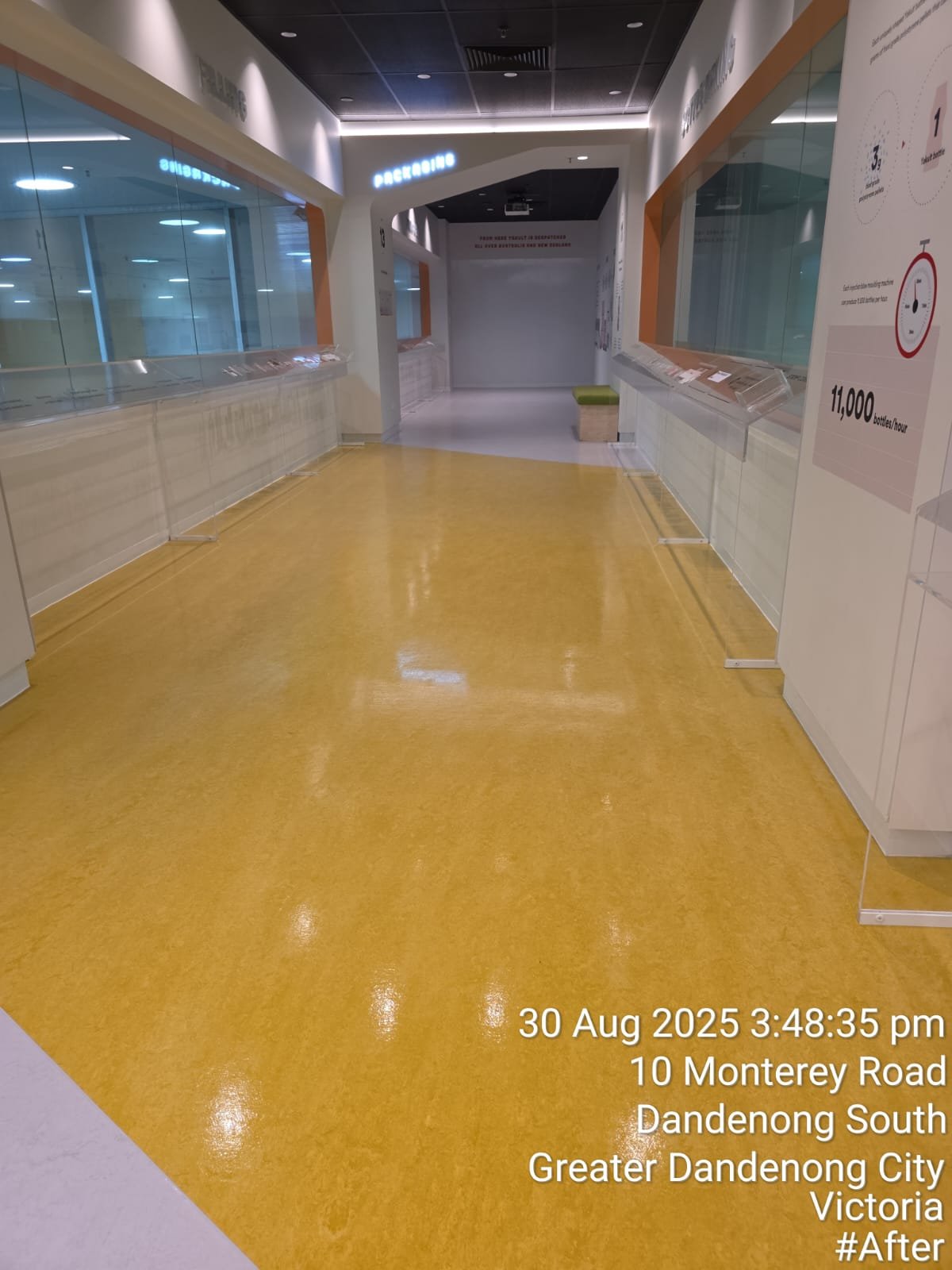 Restored vinyl floor in commercial facility